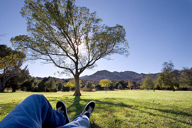 Person resting in a quiet outdoor setting