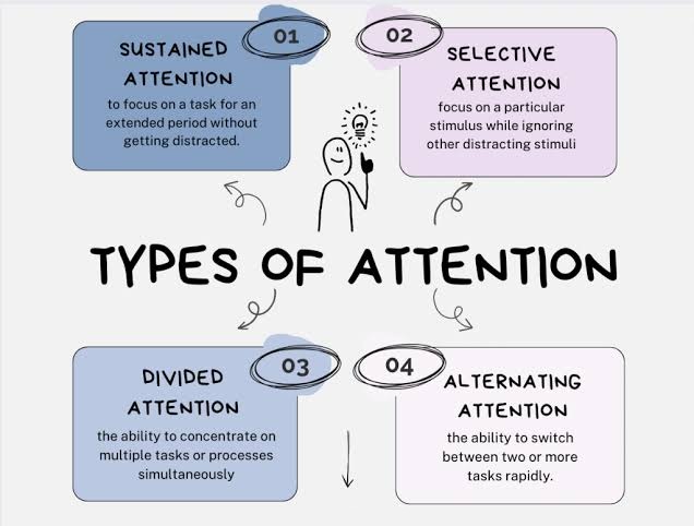 Directed versus involuntary attention modes