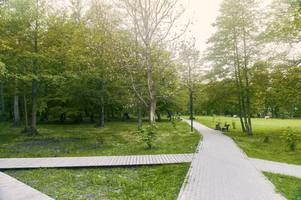 Park environment for prefrontal attention rest